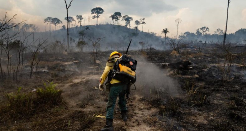 Pantanal teve 14% do bioma queimado apenas em setembro e área devastada já é recorde