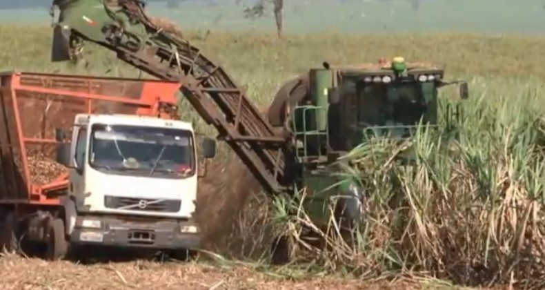Usinas de cana-de-açúcar do interior Paraná se unem para diminuir custos.